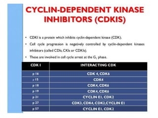 Cell cycle checkpoints.pptx