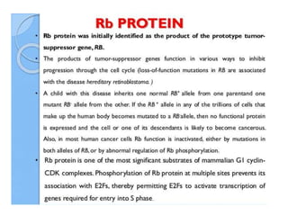 Cell cycle checkpoints.pptx