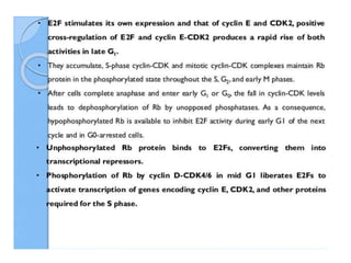 Cell cycle checkpoints.pptx