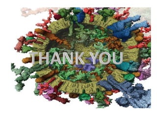 Cell cycle checkpoints.pptx