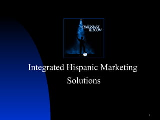 Integrated Hispanic Marketing  Solutions 