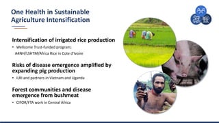 CRP Soundbites: COVID-19 and One Health