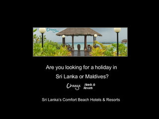 Are you looking for a holiday in  Sri Lanka or Maldives? Sri Lanka’s Comfort Beach Hotels & Resorts  Hotels & Resorts 