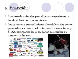 5.- Vivisección:

   Es el uso de animales para diversos experimentos
    donde el 60% son sin anestesia.
   Los someten a procedimientos horribles tales como:
    quemarlos, electrocutarlos, infectarlos con cáncer y
    SIDA, extirparles los ojos, dañar sus cerebros y
    romper sus huesos.
 