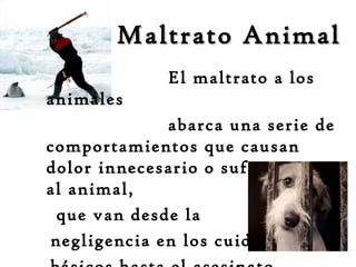 Maltrato Animal
             El maltrato a los
animales
             abarca una serie de
comportamientos que causan
dolor innecesario o sufrimiento
al animal,
 que van desde la
negligencia en los cuidados
 