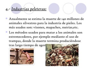 4.- Industrias peleteras:

   Anualmente se estima la muerte de 140 millones de
    animales silvestres para la industria de pieles. Los
    más usados son: visones, mapaches, nutrias,etc.
   Los métodos usados para matar a los animales son
    estremecedores, por ejemplo mediante el uso de
    trampas, donde la muerte termina produciéndose
    tras largo tiempo de agonía.
 