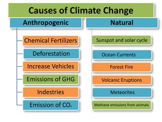 Causes of Climate Change 
Anthropogenic 
Chemical Fertilizers 
Deforestation 
Increase Vehicles 
Emissions of GHG 
Indestries 
Emission of CO2 
Natural 
Sunspot and solar cycle 
Ocean Currents 
Forest Fire 
Volcanic Eruptions 
Meteorites 
Methane emissions from animals 
 