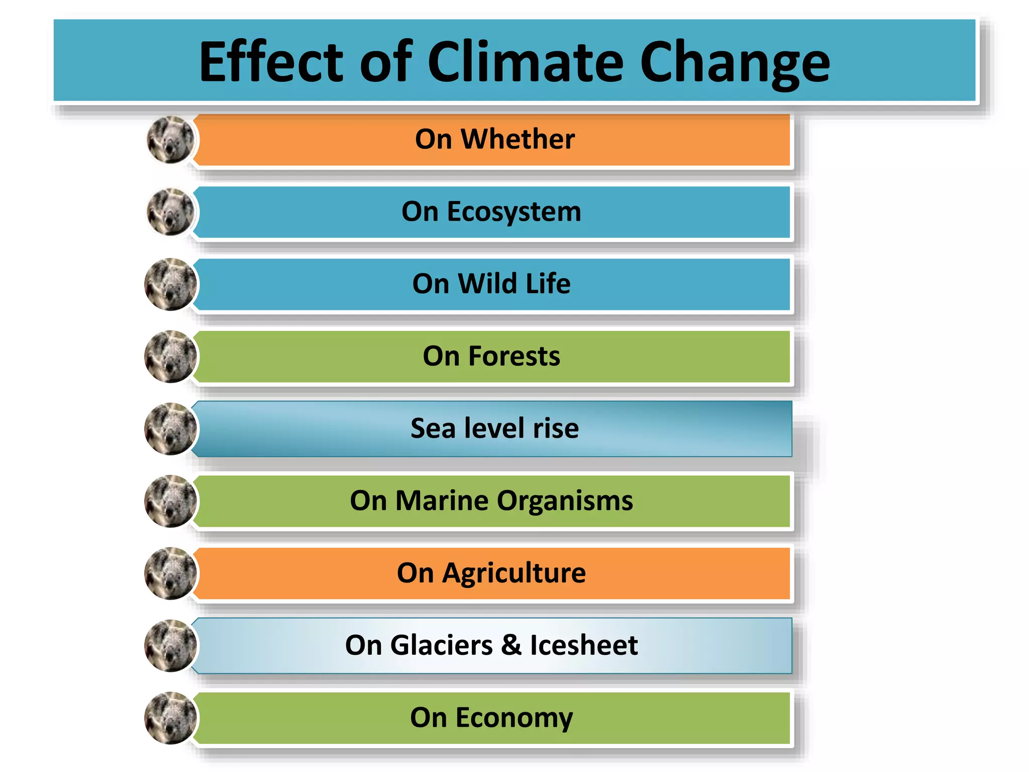 Effect of Climate Change 
On Whether 
On Ecosystem 
On Wild Life 
On Forests 
Sea level rise 
On Marine Organisms 
On Agriculture 
On Glaciers & Icesheet 
On Economy 
 