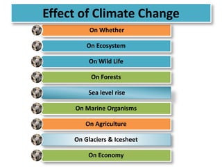 Effect of Climate Change 
On Whether 
On Ecosystem 
On Wild Life 
On Forests 
Sea level rise 
On Marine Organisms 
On Agriculture 
On Glaciers & Icesheet 
On Economy 
 