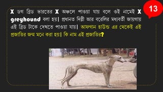 13
X ডগ সব্রড িারনতর X অঞ্চনল পাও়ো ো়ে বনল ওই োনমই X
greyhound বলা ি়ে। প্রধােত সেল্লী আর বনরসলর মধযবতী জা়েগা়ে
এই সব্রড টানি কেখ্নত পাও়ো ো়ে। আেগাে িাউন্ড এর কথনিই এই
প্রজাসতর জে মনে িরা ি়ে। সি োম এই প্রজাসতর?
 