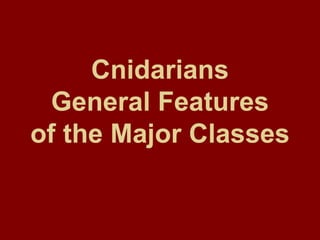 Cnidarians
  General Features
of the Major Classes
 