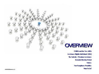©2009 RSJ/Swenson LLC OVERVIEW COBRA and the New ARRA Assistance Eligible Individuals (AEIs) The Subsidy – Premium Assistance Extended Election Period Notices Non-Compliance Penalities What To Do! 