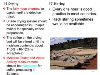 #6 Drying
 The fully ripen cherries/ or
parchment/ are dried on
raised
 Shade drying system should
be encouraged in Ethiopia,
mainly for specialty coffee
preparation.
 The coffee on the drying
bed will be stirred until the
moisture content is about
11.5%. (10-12% is
acceptable)
 Moisture Taster and Water
Activity Measurement
should be mandatory for
coffee processing in
Ethiopia.
#7 Stirring
• Every one hour is good
practice in most countries.
• Rack stirring sometimes
would be available
15
 