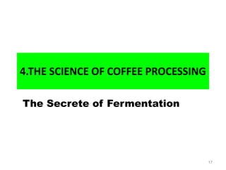 4.THE SCIENCE OF COFFEE PROCESSING
The Secrete of Fermentation
17
 