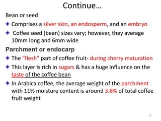 Continue…
Bean or seed
Comprises a silver skin, an endosperm, and an embryo
Coffee seed (bean) sizes vary; however, they average
10mm long and 6mm wide
Parchment or endocarp
The “flesh” part of coffee fruit- during cherry maturation
This layer is rich in sugars & has a huge influence on the
taste of the coffee bean
In Arabica coffee, the average weight of the parchment
with 11% moisture content is around 3.8% of total coffee
fruit weight
19
 
