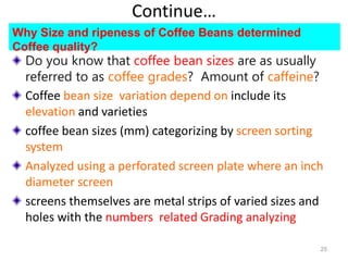 Continue…
Why Size and ripeness of Coffee Beans determined
Coffee quality?
Do you know that coffee bean sizes are as usually
referred to as coffee grades? Amount of caffeine?
Coffee bean size variation depend on include its
elevation and varieties
coffee bean sizes (mm) categorizing by screen sorting
system
Analyzed using a perforated screen plate where an inch
diameter screen
screens themselves are metal strips of varied sizes and
holes with the numbers related Grading analyzing
25
 