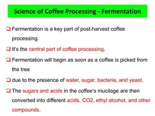 Science of Coffee Processing - Fermentation
 Fermentation is a key part of post-harvest coffee
processing.
 It’s the central part of coffee processing.
 Fermentation will begin as soon as a coffee is picked from
the tree
 due to the presence of water, sugar, bacteria, and yeast.
 The sugars and acids in the coffee’s mucilage are then
converted into different acids, CO2, ethyl alcohol, and other
compounds.
 