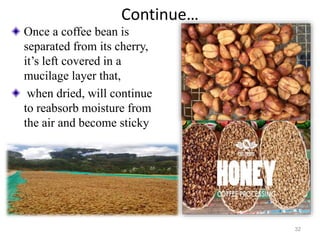 Continue…
Once a coffee bean is
separated from its cherry,
it’s left covered in a
mucilage layer that,
when dried, will continue
to reabsorb moisture from
the air and become sticky
32
 