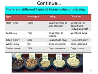 Continue…
There are different types of honey cofee processing
Type Mucilage % Drying Character
Black Honey 100% usually covered so
as to elongate
Sweet and full
bodied with
fruity/pulp depth
Red Honey 75% cloud cover or
shading
Sweet and syrup
Yellow Honey 50% cloud/shade cover Floral, light body,
White Honey 0% Dried uncovered Clean, balanced
Golden Honey 25% Dried uncovered Crisp, citrusy
36
 
