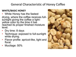 General Characteristic of Honey Coffee
WHITE/BASIC HONEY
• White Honey has the fastest
drying, where the coffee receives full-
sunlight giving the coffee a light-
yellow color by the time it has
reached its proper finished moisture
level.
• Dry time: 8 days
• Technique: exposed to full-sunlight
while drying.
• Flavor profile: apricot-like, light and
floral.
• Mucilage: 50%
 