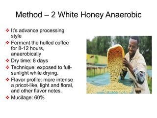 Method – 2 White Honey Anaerobic
 It’s advance processing
style
 Ferment the hulled coffee
for 8-12 hours,
anaerobically
 Dry time: 8 days
 Technique: exposed to full-
sunlight while drying.
 Flavor profile: more intense
a pricot-like, light and floral,
and other flavor notes.
 Mucilage: 60%
 