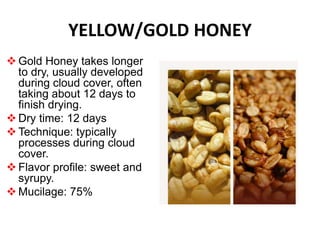 YELLOW/GOLD HONEY
 Gold Honey takes longer
to dry, usually developed
during cloud cover, often
taking about 12 days to
finish drying.
 Dry time: 12 days
 Technique: typically
processes during cloud
cover.
 Flavor profile: sweet and
syrupy.
 Mucilage: 75%
 