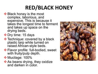 RED/BLACK HONEY
 Black honey is the most
complex, laborious, and
expensive. This is because it
takes the longest time to ferment
and takes up space on the
drying beds.
 Dry time: 15 days
 Technique: covered by a black
plastic tarp while turned on
raised African-style beds.
 Flavor profile: full-bodied, sweet
with fruity/pulp depth.
 Mucilage: 100%
 As beans drying, they oxidize
and darken in color.
 