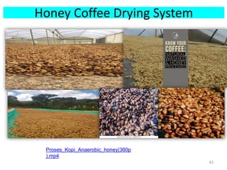 Honey Coffee Drying System
43
Proses_Kopi_Anaerobic_honey(360p
).mp4
 