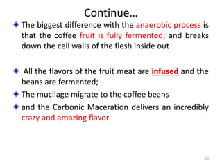 Continue…
The biggest difference with the anaerobic process is
that the coffee fruit is fully fermented; and breaks
down the cell walls of the flesh inside out
All the flavors of the fruit meat are infused and the
beans are fermented;
The mucilage migrate to the coffee beans
and the Carbonic Maceration delivers an incredibly
crazy and amazing flavor
60
 