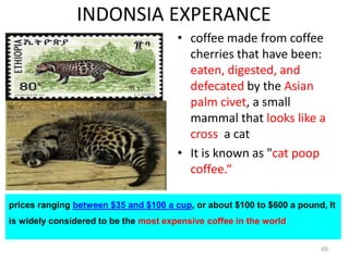 INDONSIA EXPERANCE
• coffee made from coffee
cherries that have been:
eaten, digested, and
defecated by the Asian
palm civet, a small
mammal that looks like a
cross a cat
• It is known as "cat poop
coffee.“
65
prices ranging between $35 and $100 a cup, or about $100 to $600 a pound, It
is widely considered to be the most expensive coffee in the world
 