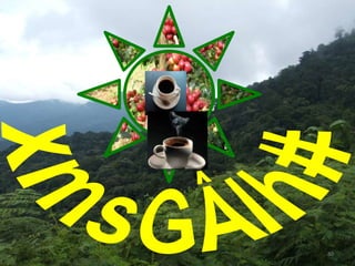 የዘር ስርጭት
80
 