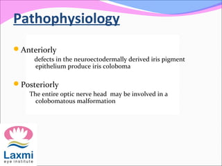 Pathophysiology
Anteriorly
defects in the neuroectodermally derived iris pigment
epithelium produce iris coloboma
Posteriorly
The entire optic nerve head may be involved in a
colobomatous malformation
 