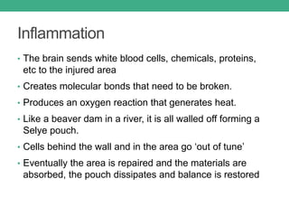 Inflammation
• The brain sends white blood cells, chemicals, proteins,
etc to the injured area
• Creates molecular bonds that need to be broken.
• Produces an oxygen reaction that generates heat.
• Like a beaver dam in a river, it is all walled off forming a
Selye pouch.
• Cells behind the wall and in the area go ‘out of tune’
• Eventually the area is repaired and the materials are
absorbed, the pouch dissipates and balance is restored
 