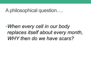 A philosophical question….
•When every cell in our body
replaces itself about every month,
WHY then do we have scars?
 