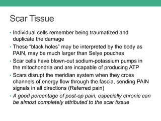 Scar Tissue
• Individual cells remember being traumatized and
duplicate the damage
• These “black holes” may be interpreted by the body as
PAIN, may be much larger than Selye pouches
• Scar cells have blown-out sodium-potassium pumps in
the mitochondria and are incapable of producing ATP
• Scars disrupt the meridian system when they cross
channels of energy flow through the fascia, sending PAIN
signals in all directions (Referred pain)
• A good percentage of post-op pain, especially chronic can
be almost completely attributed to the scar tissue
 