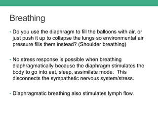 Breathing
• Do you use the diaphragm to fill the balloons with air, or
just push it up to collapse the lungs so environmental air
pressure fills them instead? (Shoulder breathing)
• No stress response is possible when breathing
diaphragmatically because the diaphragm stimulates the
body to go into eat, sleep, assimilate mode. This
disconnects the sympathetic nervous system/stress.
• Diaphragmatic breathing also stimulates lymph flow.
 
