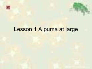 Lesson 1 A puma at large

 