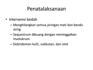 Penatalaksanaan 
• Intervensi bedah 
– Menghilangkan semua jaringan mati dan benda 
asing 
– Sequestrum dibuang dengan meninggalkan 
involukrum 
– Debridemen kulit, subkutan, dan otot 
 
