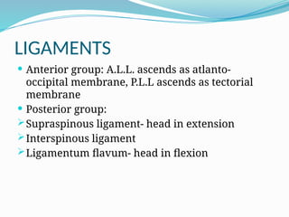 LIGAMENTS
 Anterior group: A.L.L. ascends as atlanto-
occipital membrane, P.L.L ascends as tectorial
membrane
 Posterior group:
Supraspinous ligament- head in extension
Interspinous ligament
Ligamentum flavum- head in flexion
 