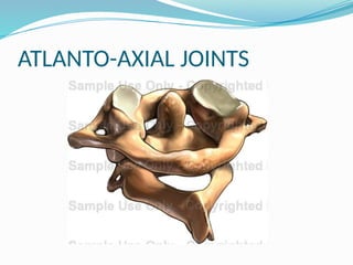 ATLANTO-AXIAL JOINTS
 