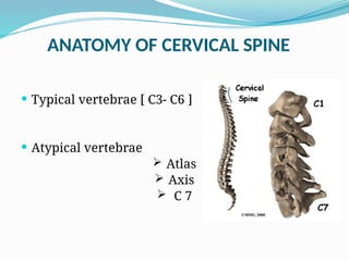ANATOMY OF CERVICAL SPINE
 Typical vertebrae [ C3- C6 ]
 Atypical vertebrae
 Atlas
 Axis
 C 7
 