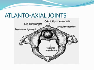 ATLANTO-AXIAL JOINTS
 