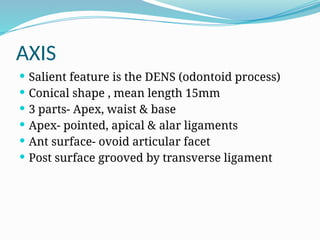 AXIS
 Salient feature is the DENS (odontoid process)
 Conical shape , mean length 15mm
 3 parts- Apex, waist & base
 Apex- pointed, apical & alar ligaments
 Ant surface- ovoid articular facet
 Post surface grooved by transverse ligament
 