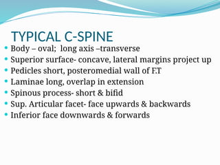 TYPICAL C-SPINE
 Body – oval; long axis –transverse
 Superior surface- concave, lateral margins project up
 Pedicles short, posteromedial wall of F.T
 Laminae long, overlap in extension
 Spinous process- short & bifid
 Sup. Articular facet- face upwards & backwards
 Inferior face downwards & forwards
 
