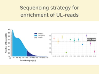 Sequencing strategy for
enrichment of UL-reads
0
1000
2000
3000
4000
5000
6000
7000
8000
100kb+
10-100kb
<10kbMb
Read Len
0.0
0.5
1.0
1.5
2.0
2.5
3.0
3.5
4.0
0 20 40 60 80 220200180160140120100
Read Length (kb)
NumberofBases(Gb)
30
35
40
45
50
24143 24149 24385 00733 01109 01243 02055 02080 02723 03098 03492
N50s: 44kb
 