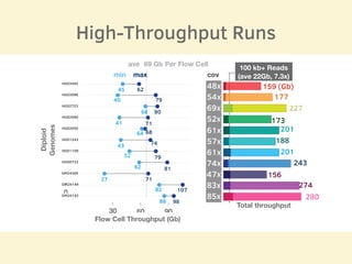GM24143
GM24149
GM24385
HG00733
HG01109
HG01243
HG02055
HG02080
HG02723
HG03098
HG03492
0
30 60 90
Diploid
Genomes
min max
62
79
80
71
68
74
79
81
71
107
98
45
40
68
41
64
43
52
62
27
82
88
Flow Cell Throughput (Gb)
ave 69 Gb Per Flow Cell
48x
54x
69x
52x
61x
57x
61x
74x
47x
83x
85x
cov
159 (Gb)
177
227
173
201
188
201
243
156
274
280
Total throughput
100 kb+ Reads
(ave 22Gb, 7.3x)
High-Throughput Runs
 