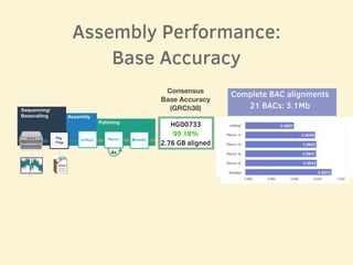 Flip
Flop
Racon Medakawtdbg2 HiRise
Sequencing/
Basecalling Assembly
Polishing
Scaffolding
4x
FINISHED
ASSEMBLY
HiC Data
Phasing
HG00733
99.18%
2.76 GB aligned
Consensus
Base Accuracy
(GRCh38) 
Assembly Performance:
Base Accuracy
• Alignments are not to the
individuals genome
Complete BAC alignments
21 BACs: 3.1Mb
 