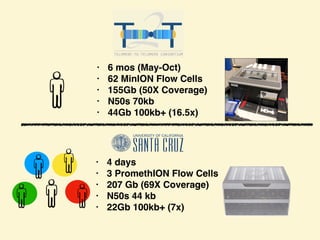 • 6 mos (May-Oct)
• 62 MinION Flow Cells
• 155Gb (50X Coverage)
• N50s 70kb
• 44Gb 100kb+ (16.5x)
• 4 days
• 3 PromethION Flow Cells
• 207 Gb (69X Coverage)
• N50s 44 kb
• 22Gb 100kb+ (7x)
 