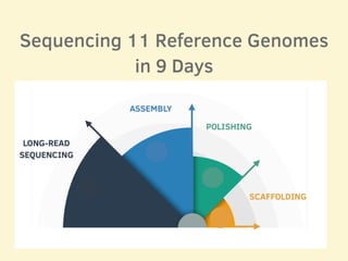 Sequencing 11 Reference Genomes
in 9 Days
 