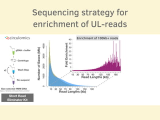 Sequencing strategy for
enrichment of UL-reads
ttps://www.circulomics.com/
Centrifuge
Wash Step
Re-suspend
Size-selected HMW DNA
gDNA + buﬀer
x2
Short Read
Eliminator Kit
Read Lengths (kb)
NumberofBases(Mb)
FoldEnrichment
0
5
10
15
20
25
30
35
40
0 10 20 30 40 50 60 70 80 90 100 110 120 130 140 150 160 170 180 190 200
Read Lengths (kb)
Enrichment of 100kb+ reads
 
